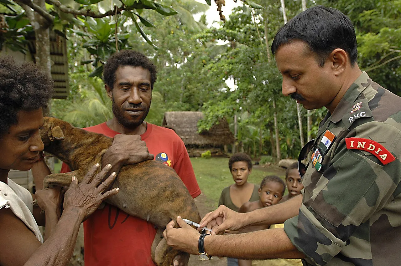 Veterinary personnel giving a dog a rabies vaccination